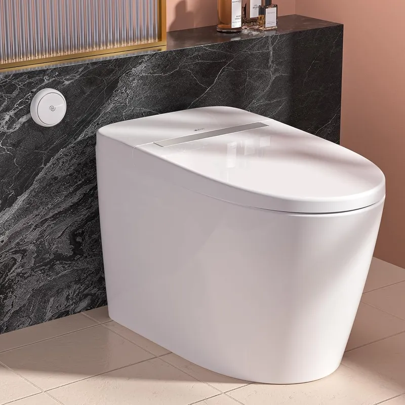 LEIVI Smart Toilet