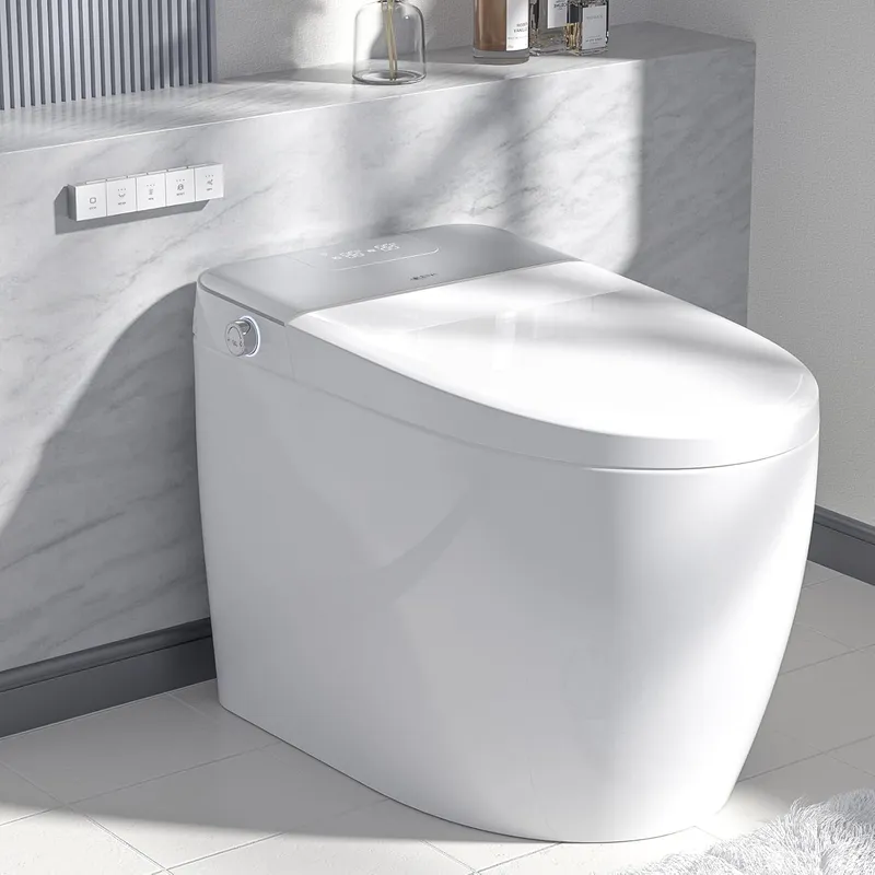LEIVI Smart Toilet with Built-in Bidet Seat